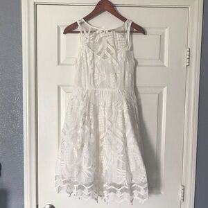 Anthropologie Lace Dress Pina Pineapple Fruit Fit and Flare Dress Women’s Size 2